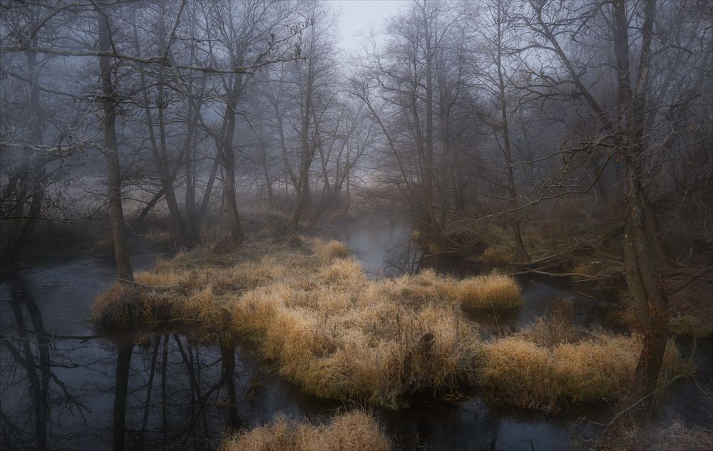 По берегам р.Вашана.