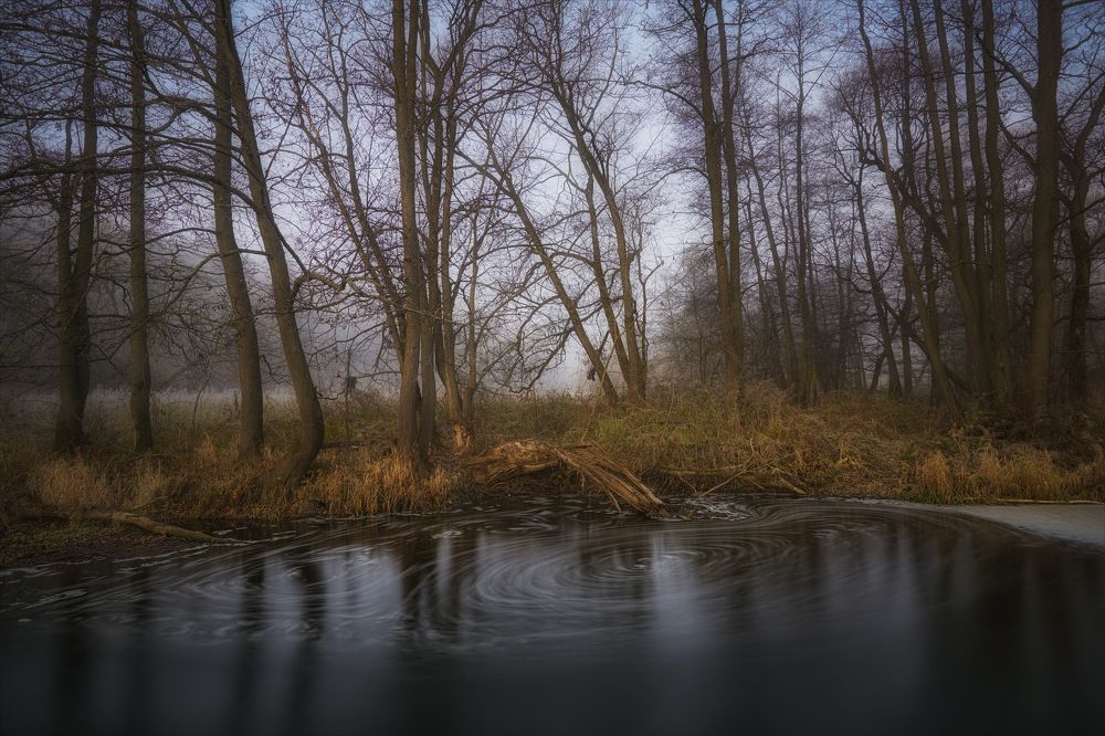 По берегам р.Вашана.