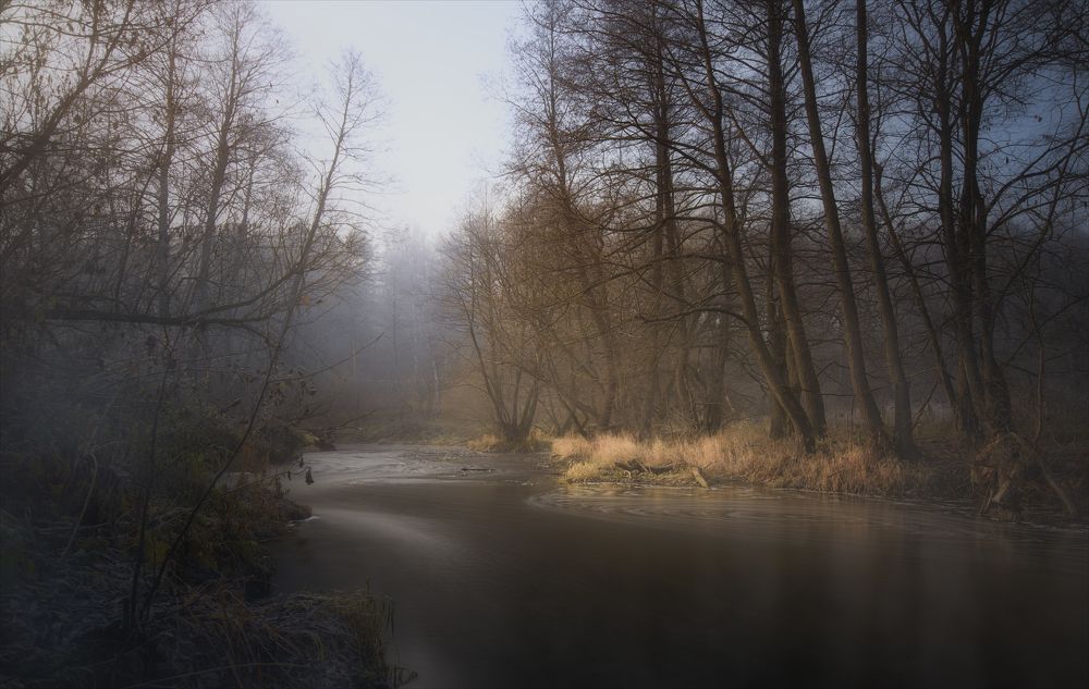 По берегам р.Вашана.