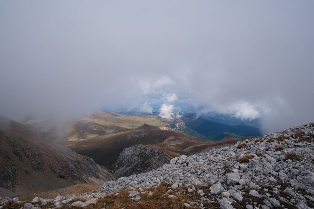 Photo 2036843