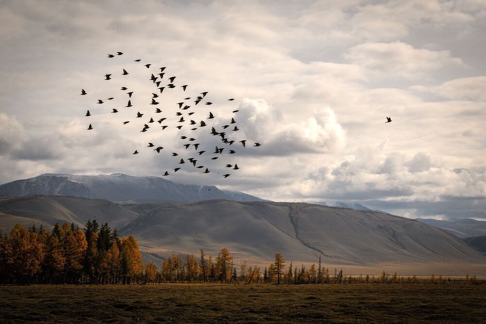 Однажды в Китае