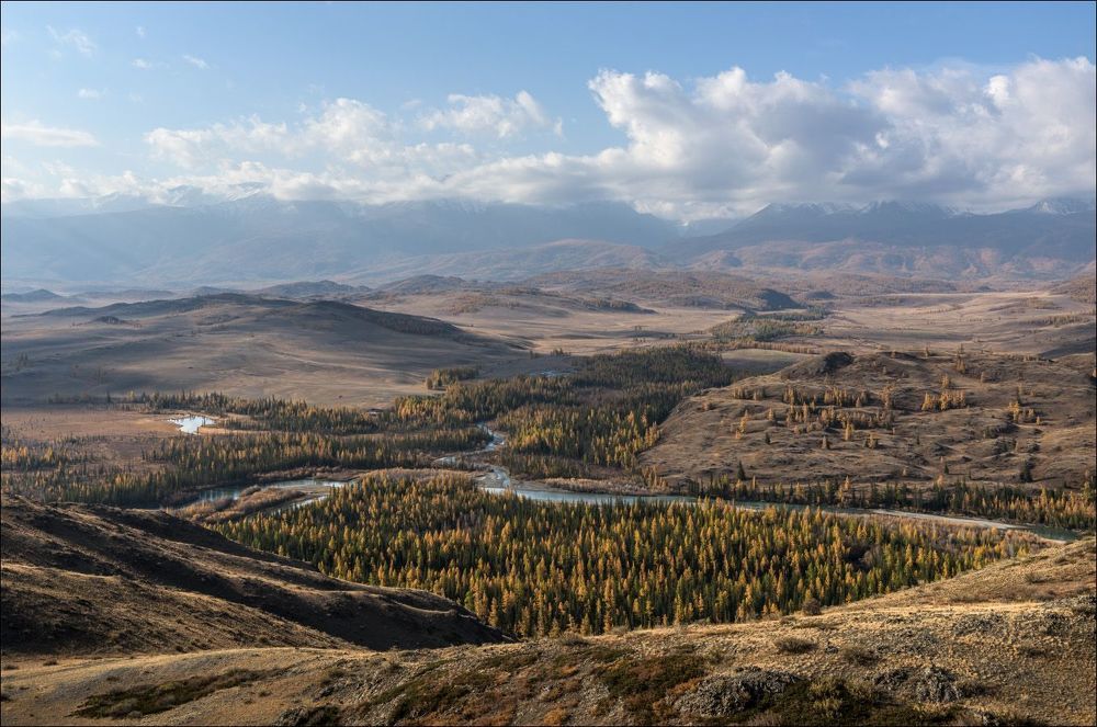 Солнечное утро в Курае