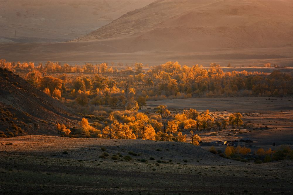 В окрестностях Марса.