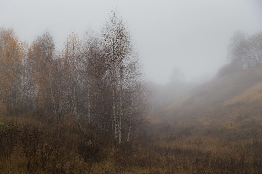 Уставшая осень
