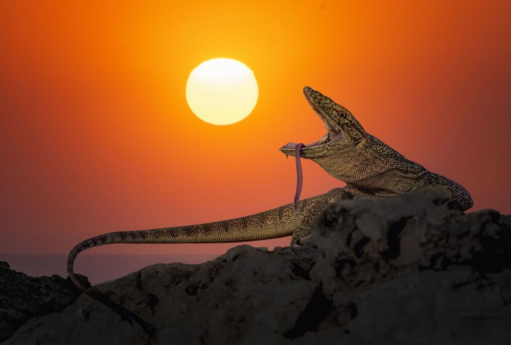 behind the sunset