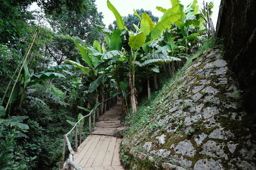 The hidden beauty