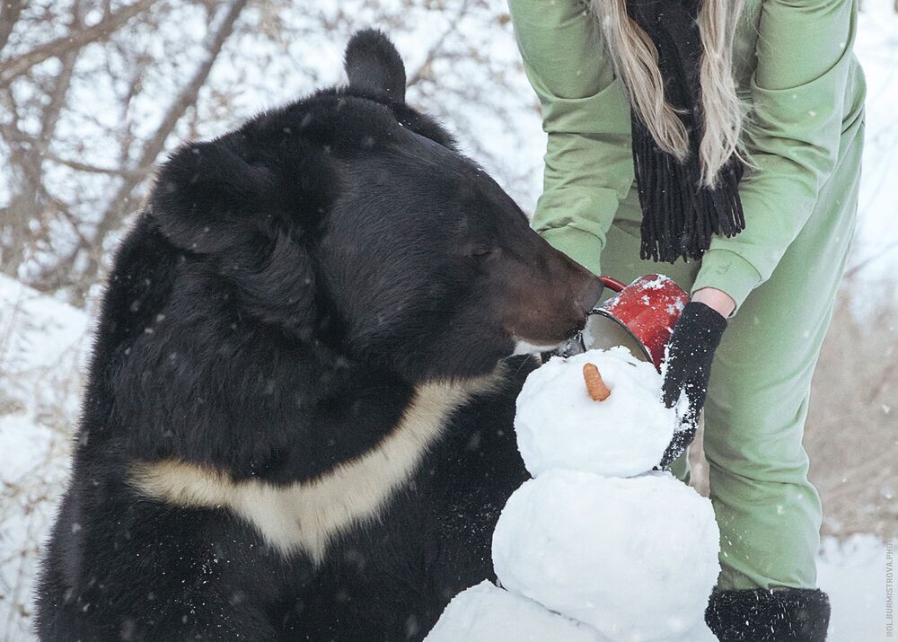 Зимние забавы