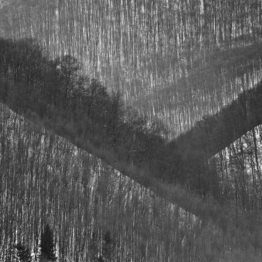 Alpenphoto