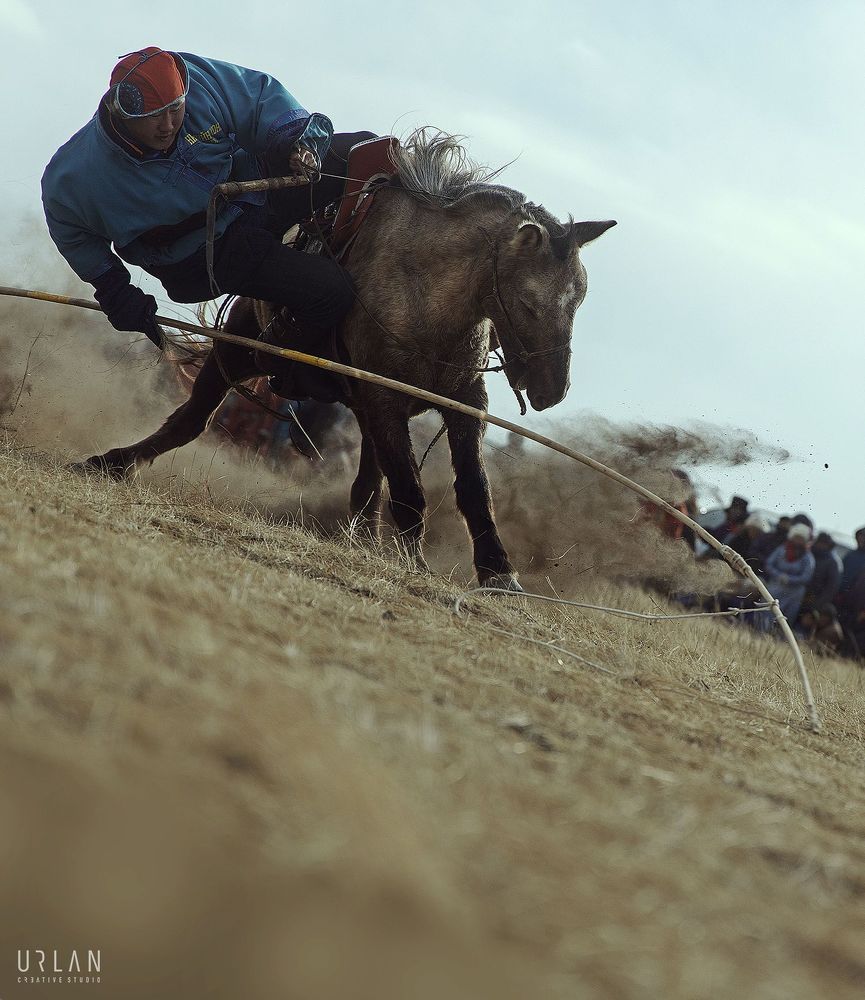 Mongolian horse riders