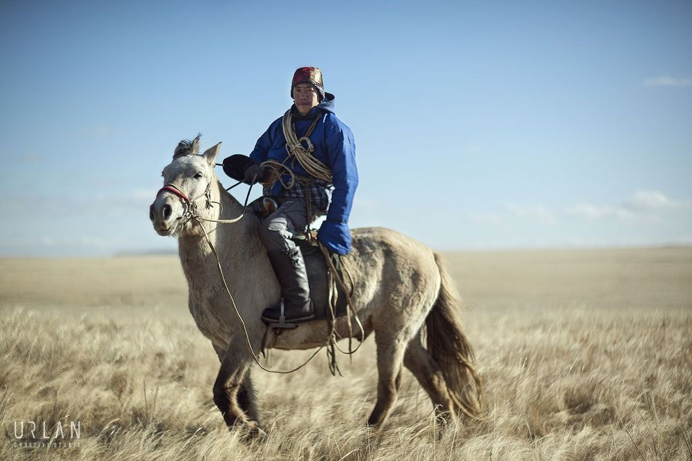 Mongolian horse riders
