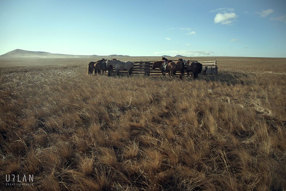 Mongolian horse riders