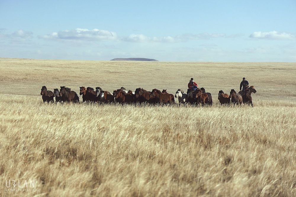 Mongolian horse riders