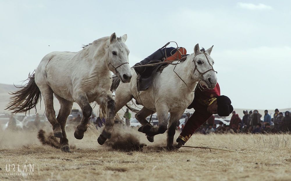 Mongolian horse riders