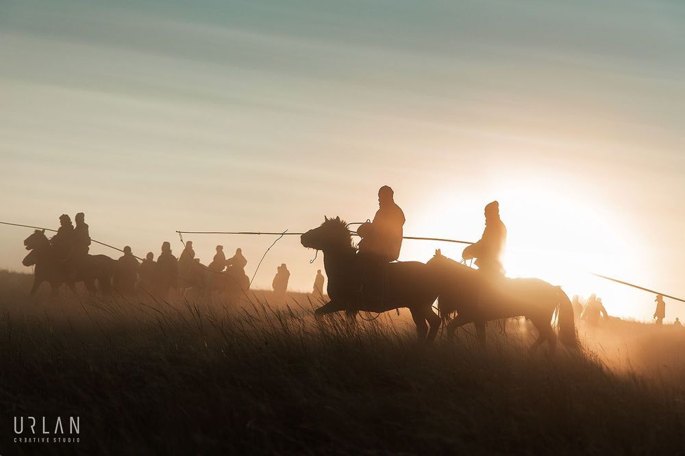 Mongolian horse riders