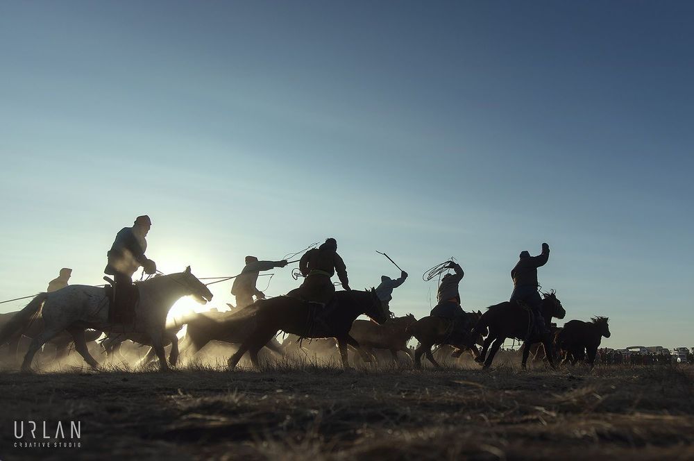 Mongolian horse riders
