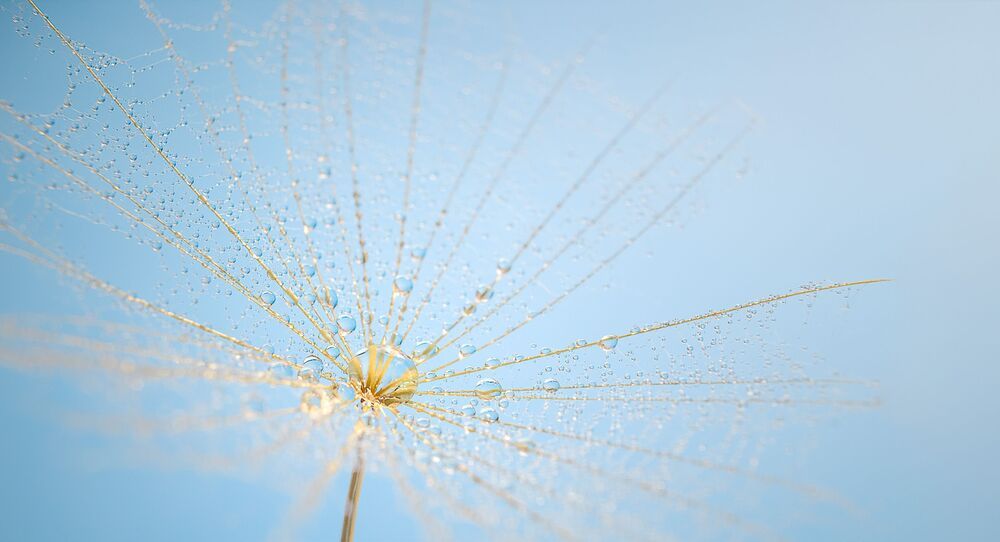 Macro