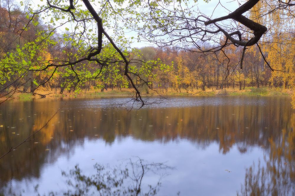 Осенняя зарисовка