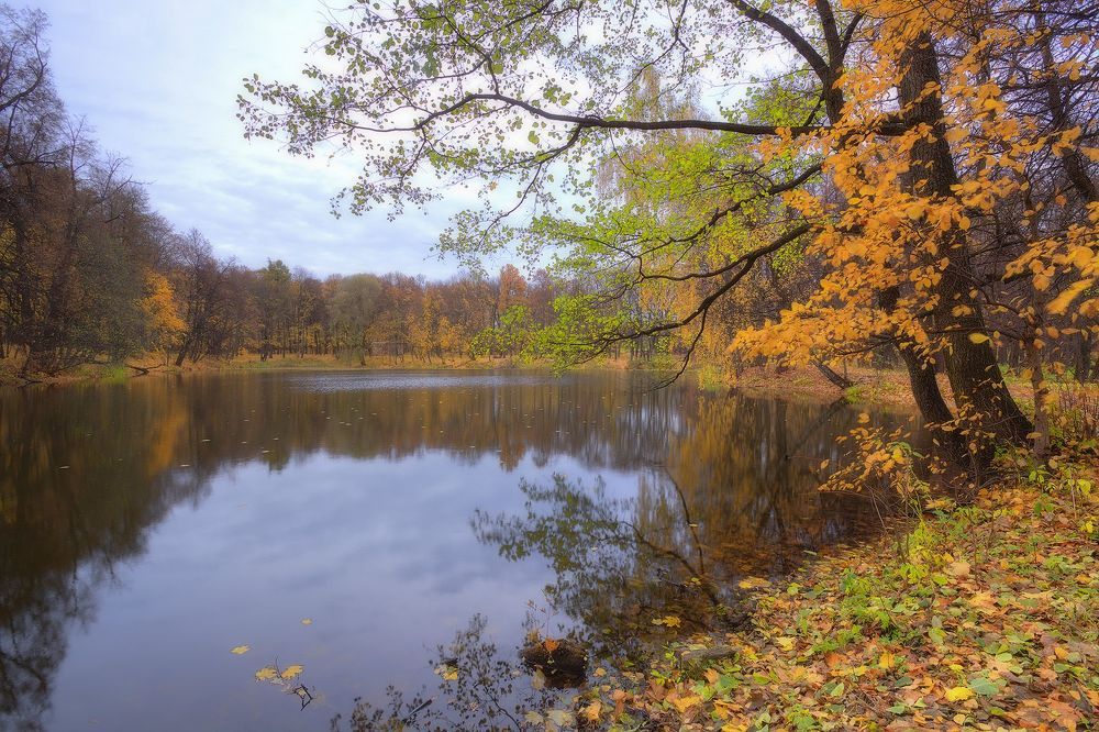 Осенняя зарисовка