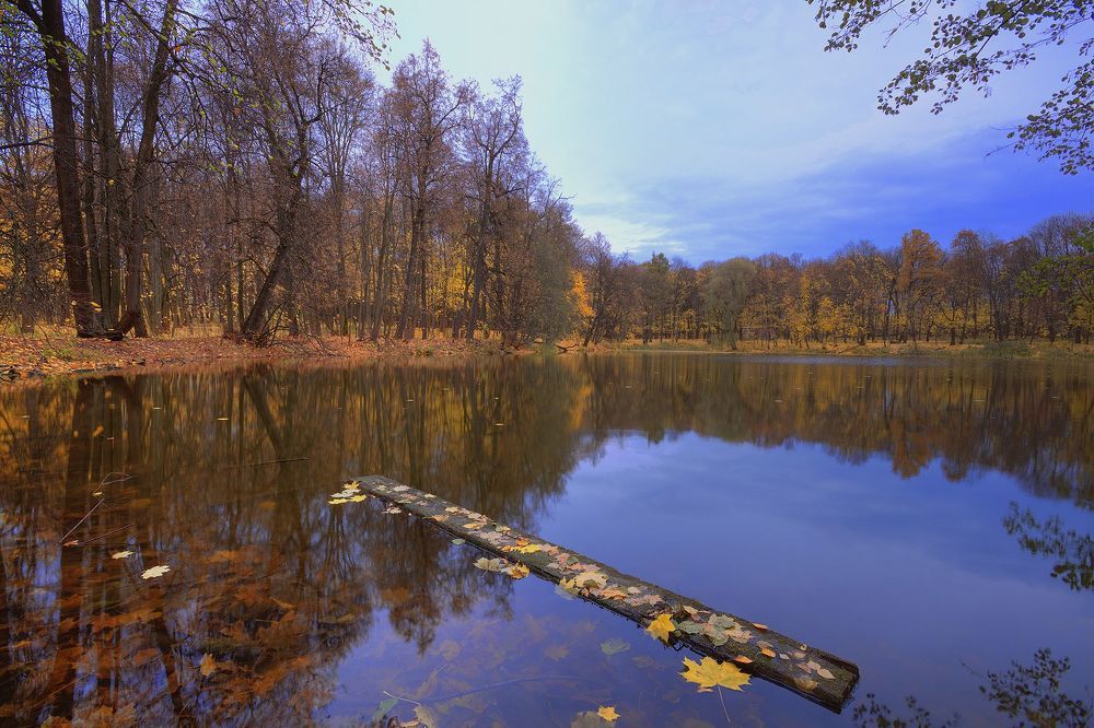 Осенняя зарисовка