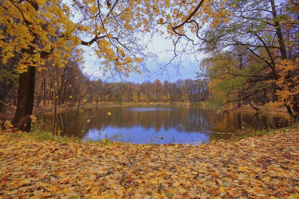 Осенняя зарисовка
