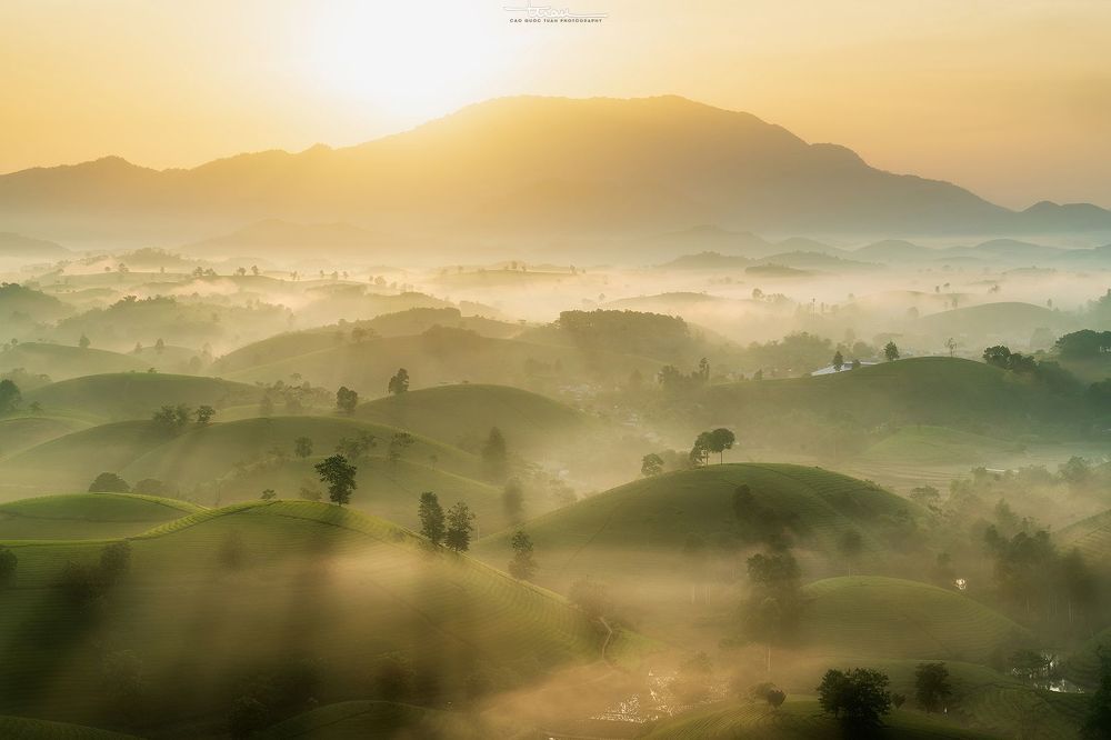 Far away to the tea hill...2