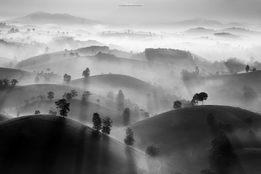 Far away to the tea hill...10