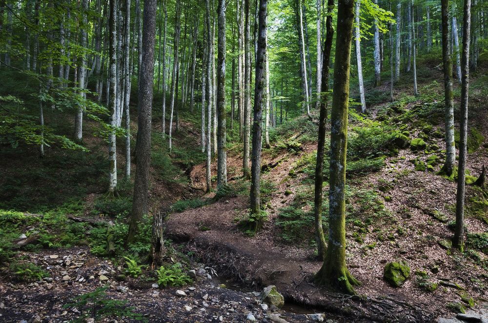 Photo 2041464