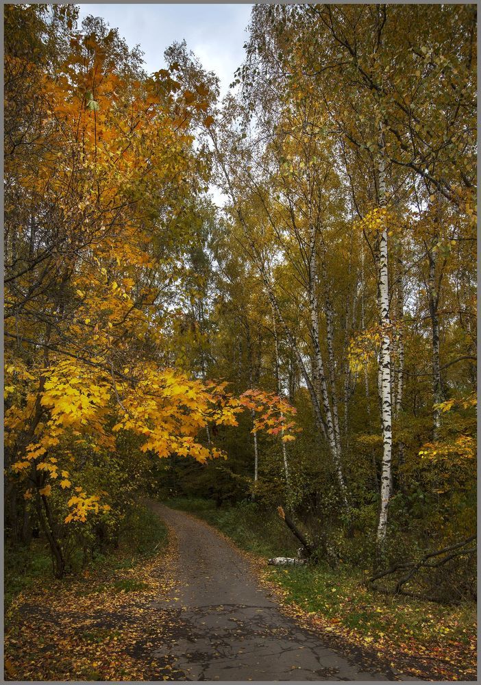 краски осени