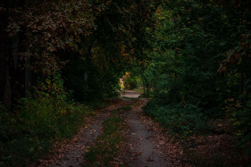 Photo 2043281