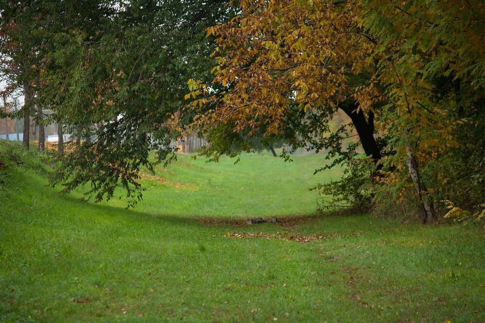Photo 2043285