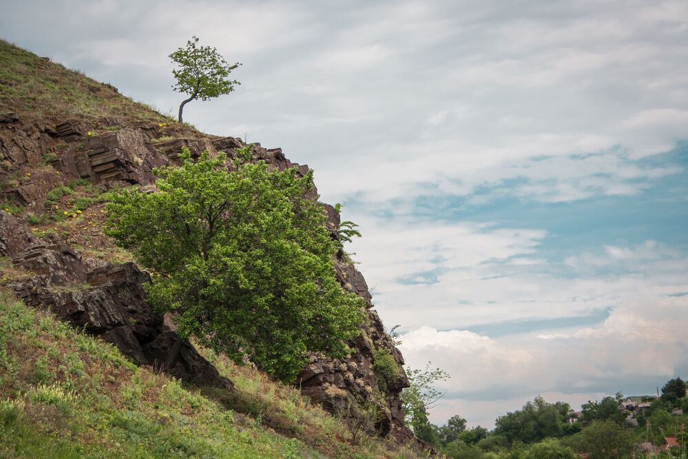 МОПР. Кривой Рог.