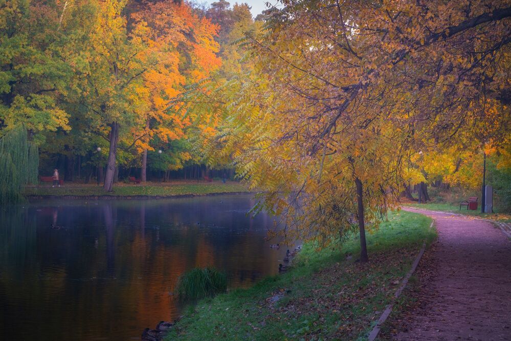 Осень в парке