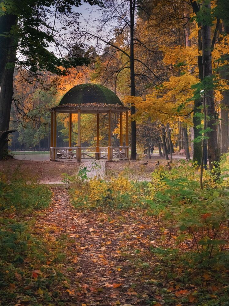 Осень в парке