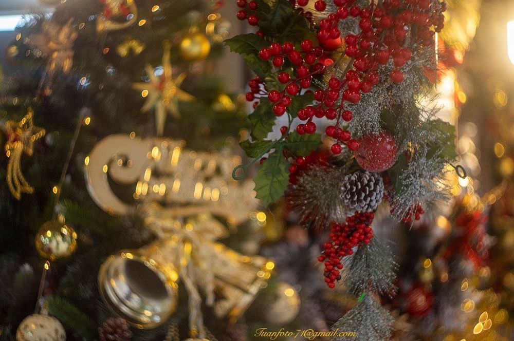 Merry Christmas 2021