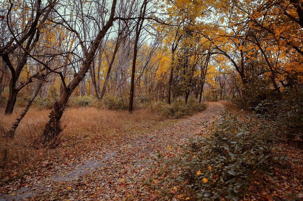 Sweet November
