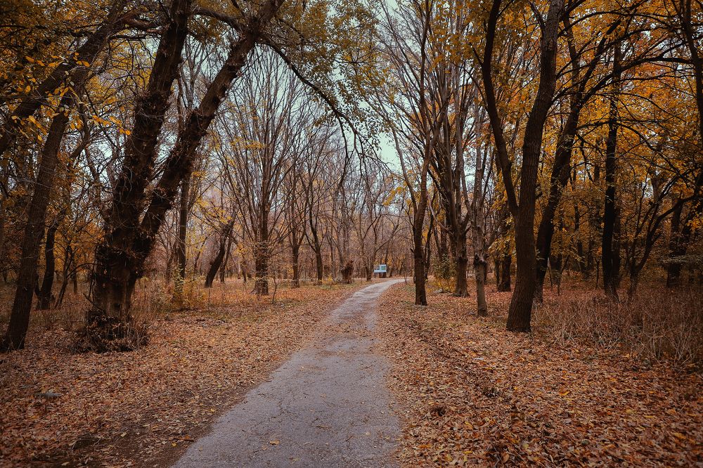 Sweet November
