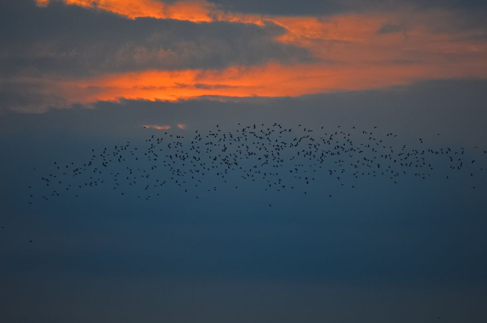 Sunset stories..