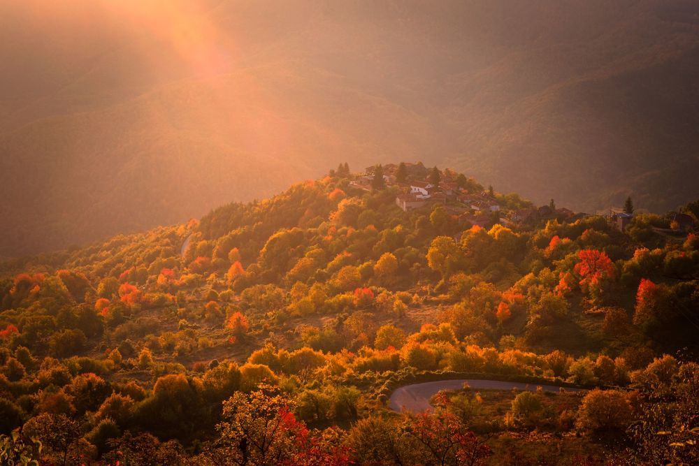 Пасторальная осень / Pastoral autumn