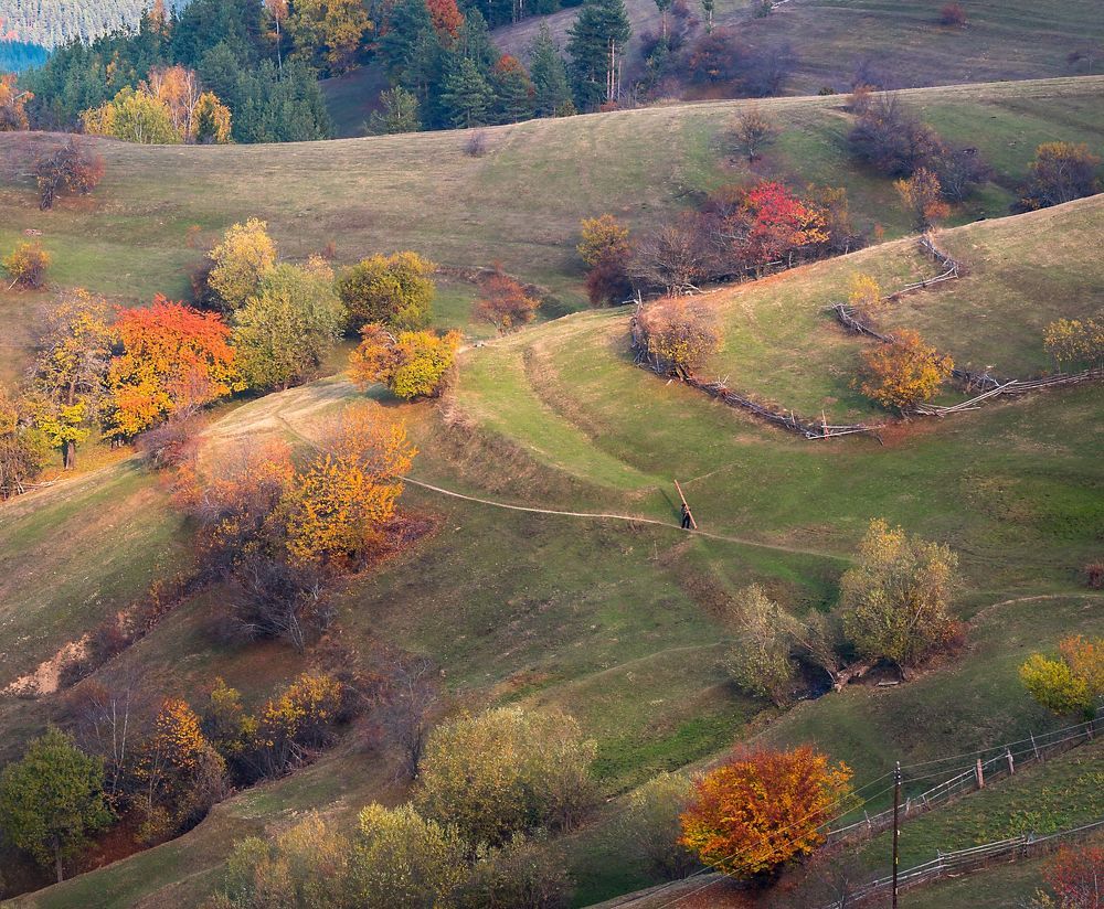Пасторальная осень / Pastoral autumn