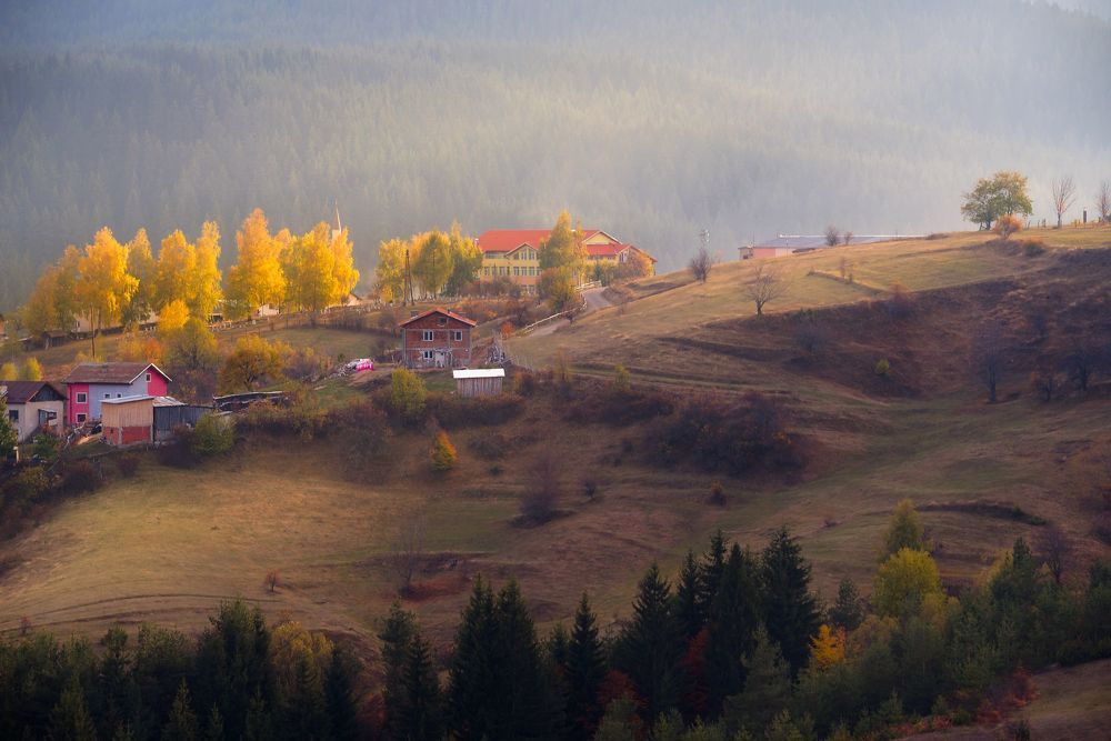 Пасторальная осень / Pastoral autumn