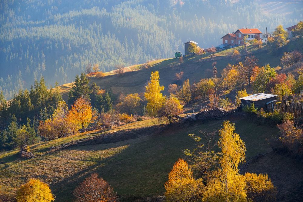 Пасторальная осень / Pastoral autumn