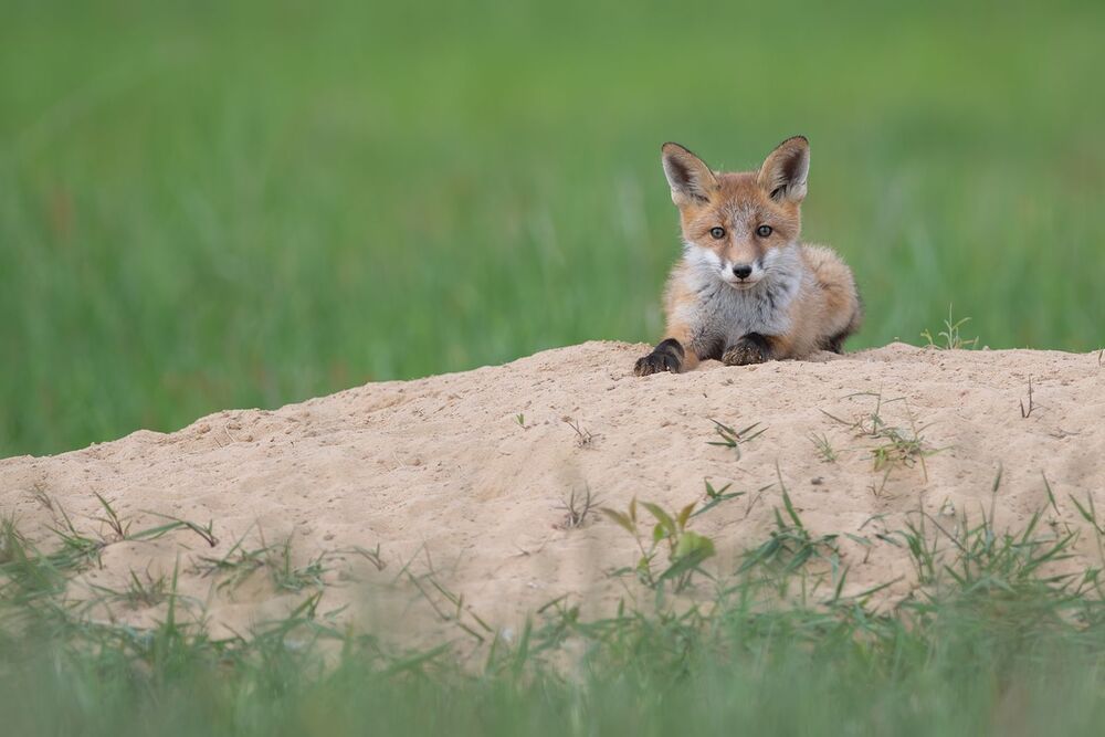 Photo 2046767