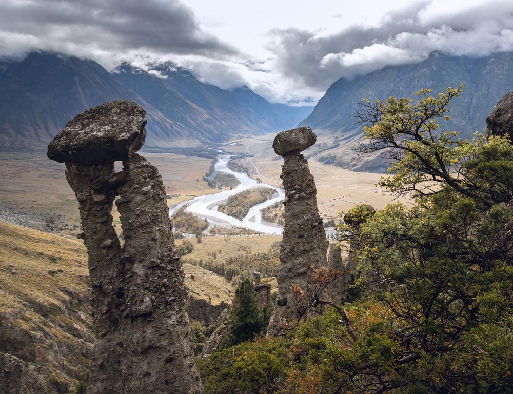 Каменные грибы Чулышмана