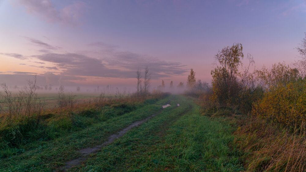 За туманом