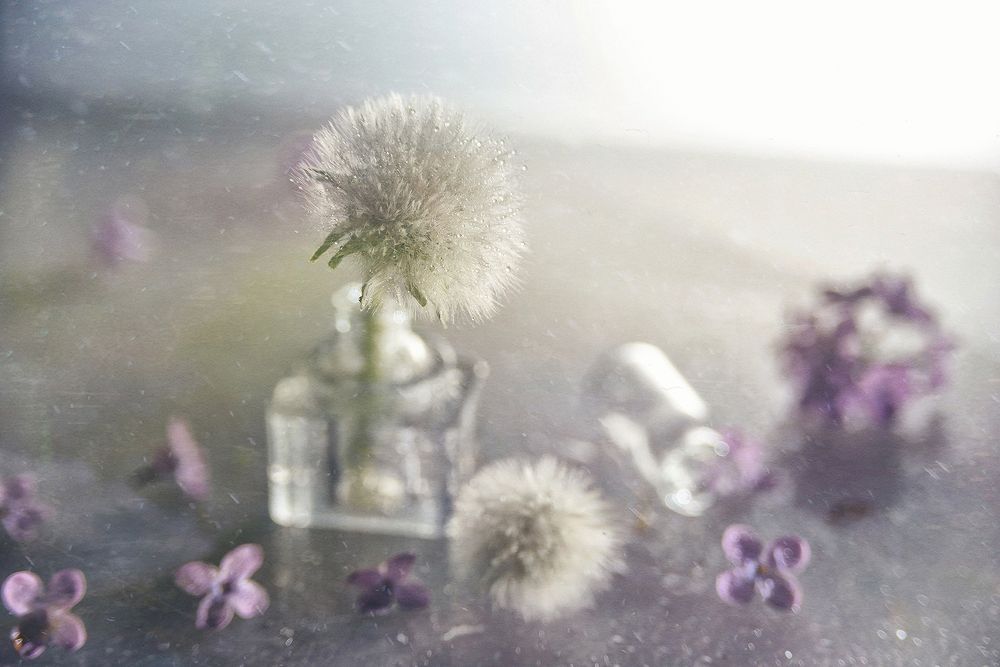 Photo 2048356