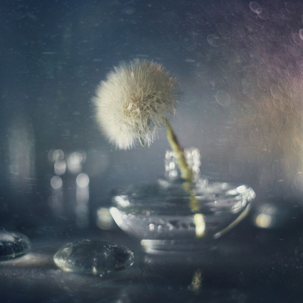 Photo 2048357