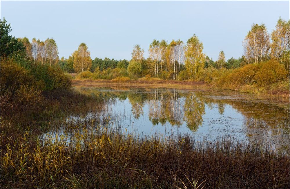 В осенних одеждах