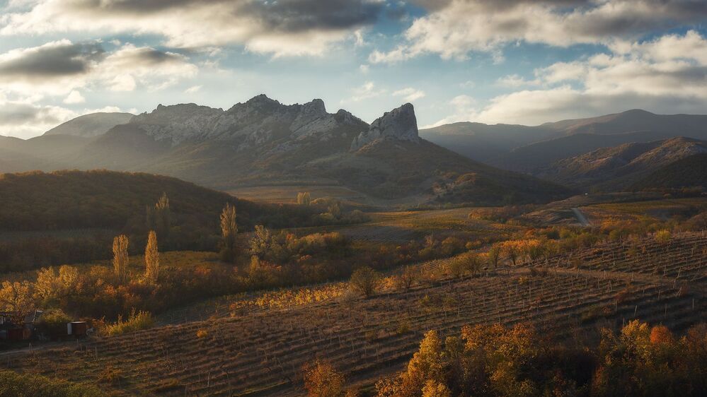 Осень в Щебетовке. Спящая красавица.