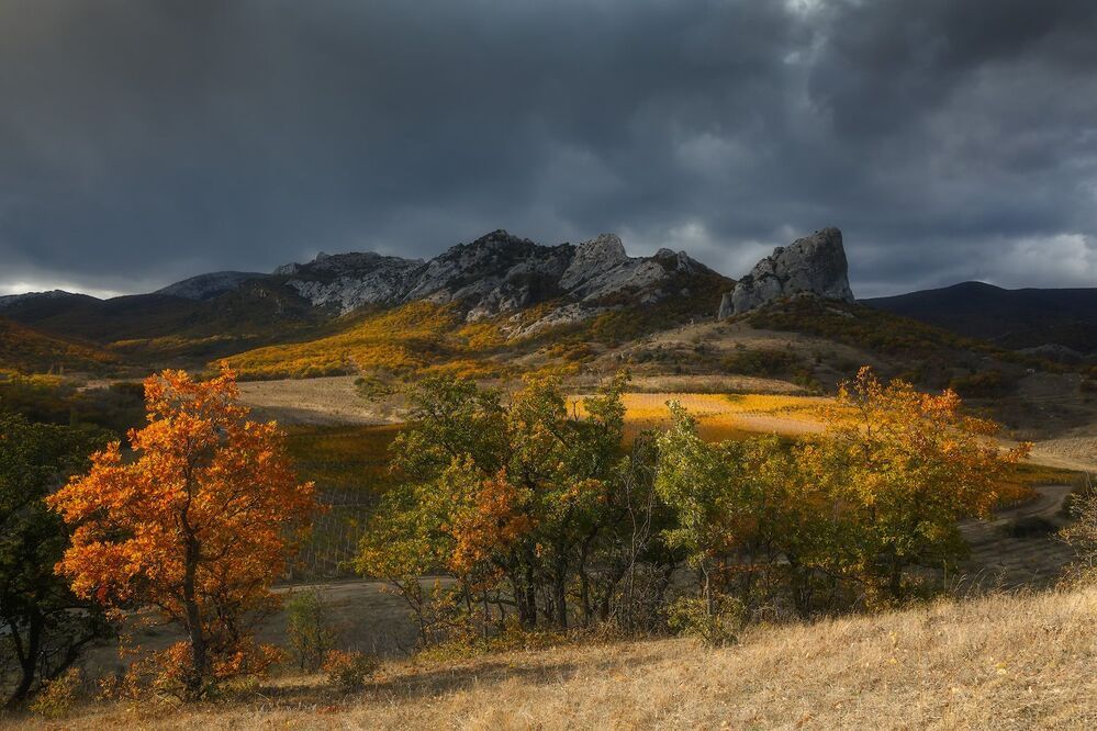 Осень в Щебетовке. Спящая красавица.