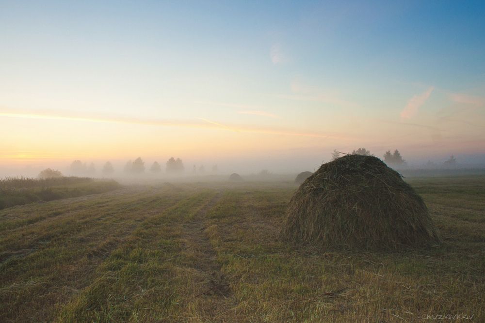 Morning in July